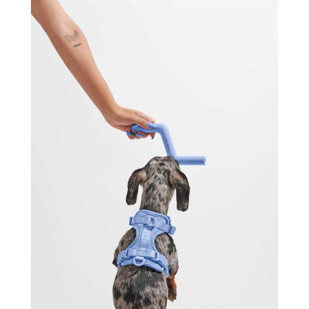Bolt Bite Dog Toy B760