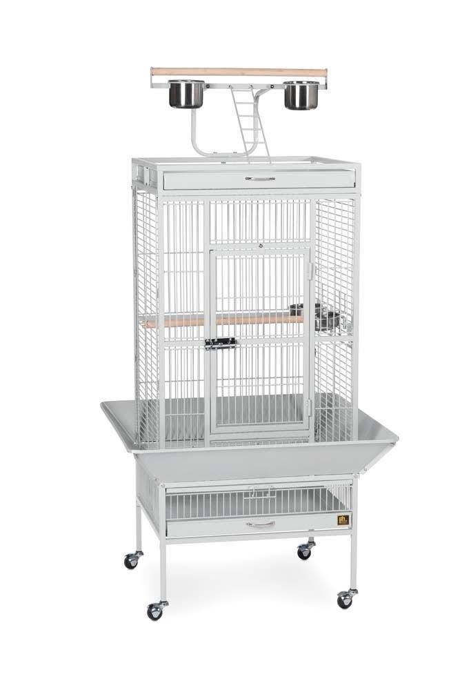 Black Wrought Iron Parrot Cage D21986