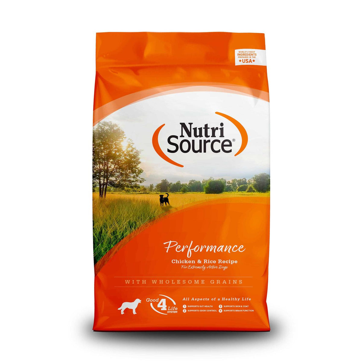 Chicken & Rice Dry Dog Food X934432
