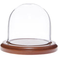 3" x 3" Glass Display Dome Cloche with Walnut Base L567172