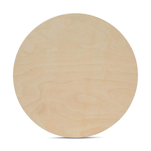 Unfinished Birch Wood Circles 16 inch 1/2 inch Thick Pack of 1 Q39835