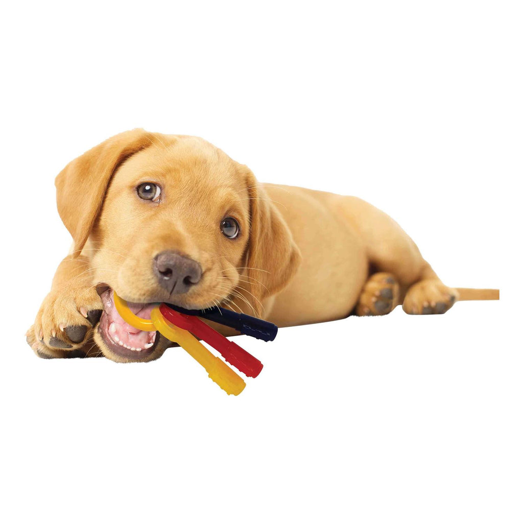 Puppy Chew Teething Keys U355