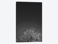 Canvas Art Wall Decor X8686