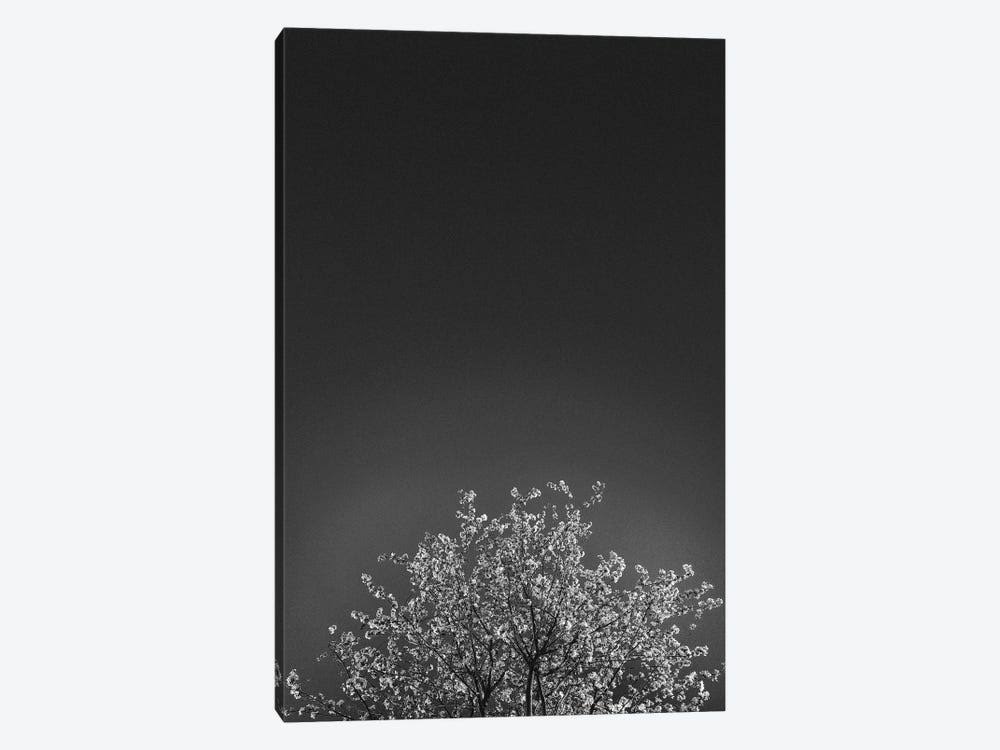 Canvas Art Wall Decor X8686