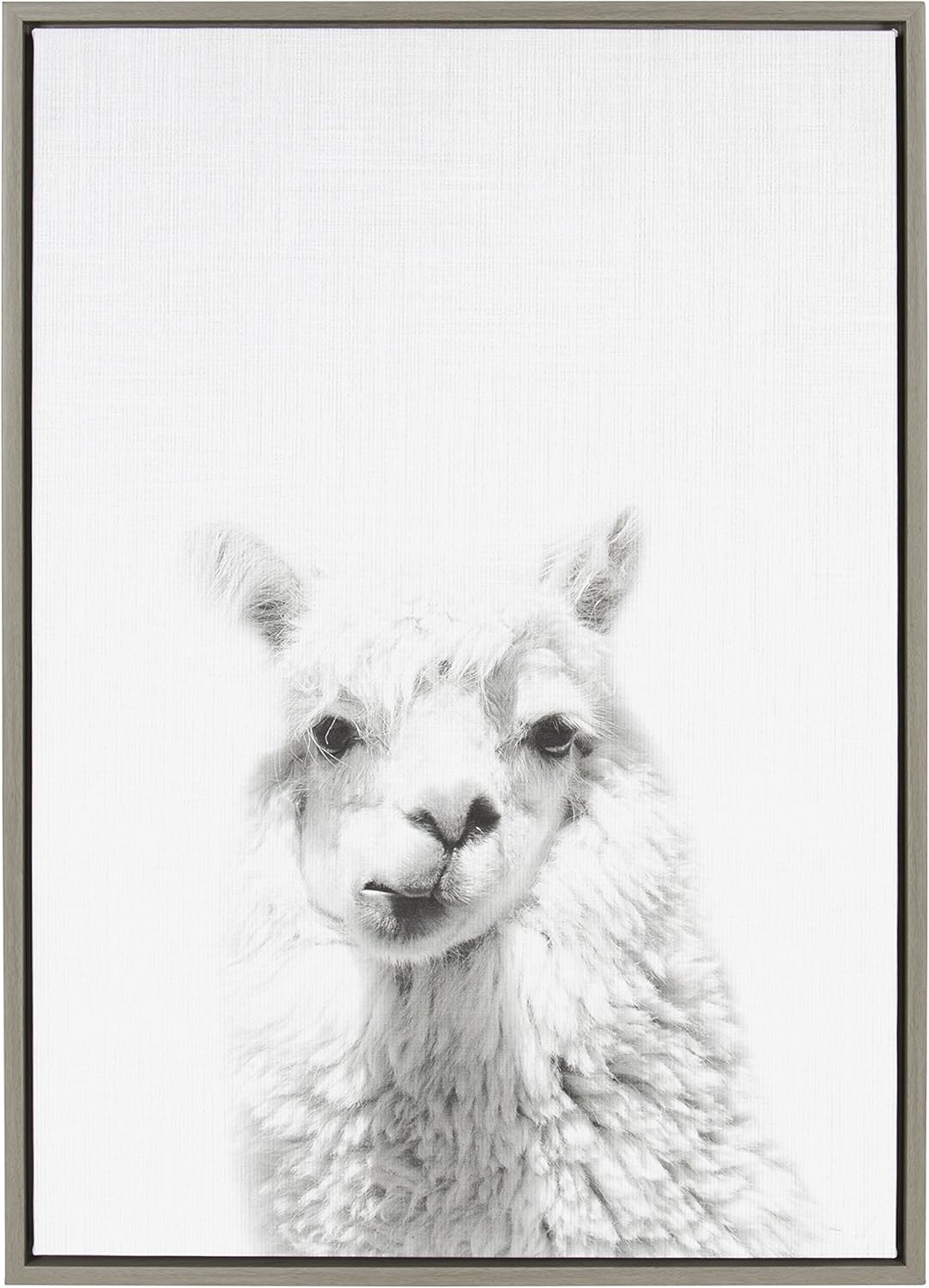 Black and White Framed Canvas Wall Art, 18x24 D3465