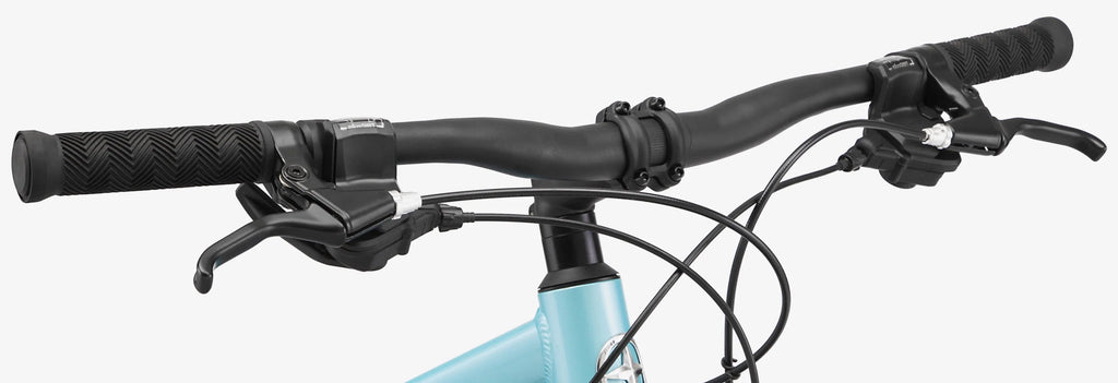 Blue 21 Speed Women's Mountain Bike R3549