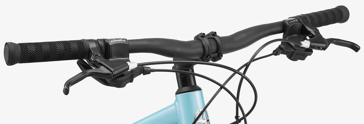 Blue 21 Speed Women's Mountain Bike R3549