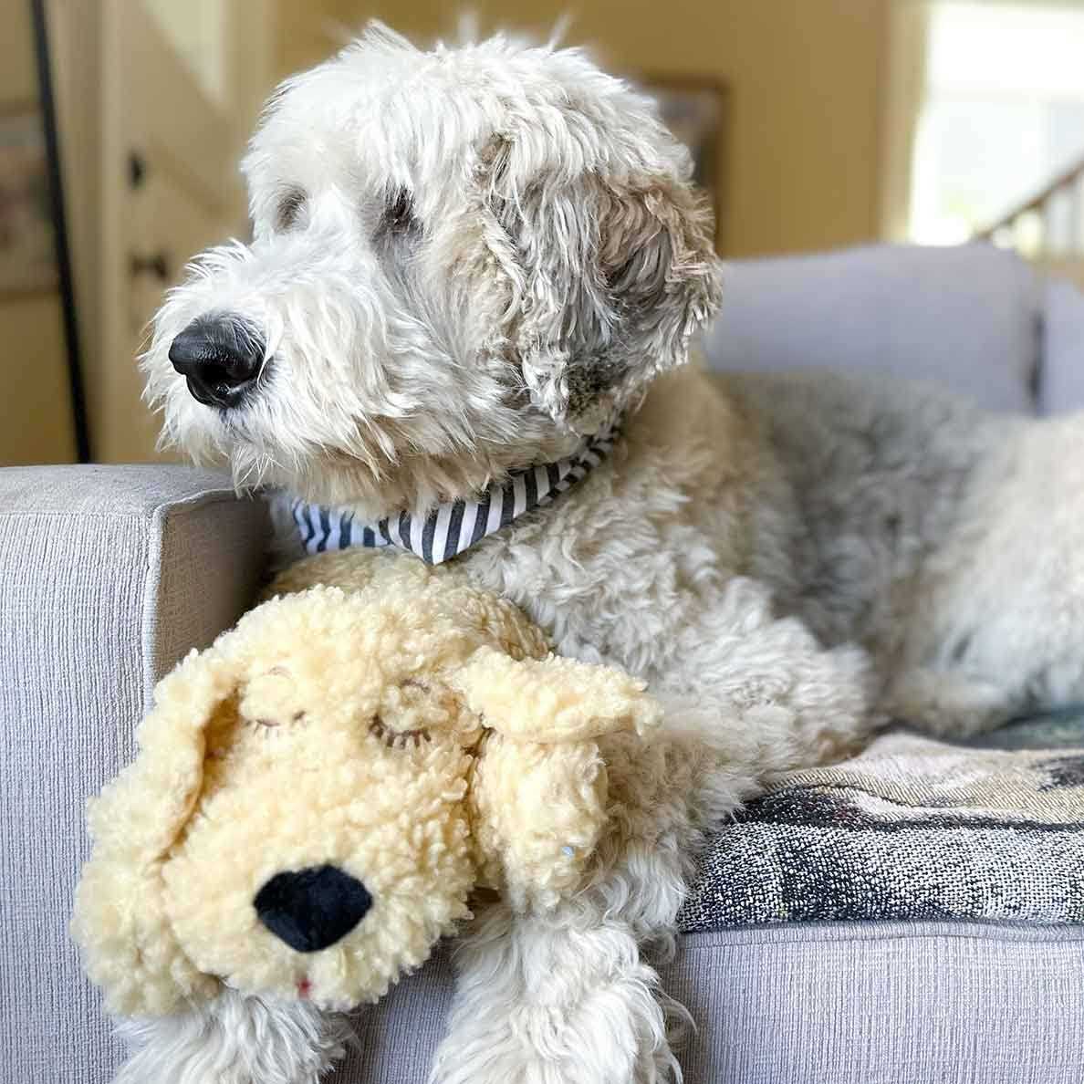 Smart Heartbeat Toy for Pet Anxiety Relief P75710