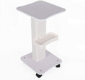 Rolling Cart Beauty Salon Trolley with 4 Wheels Aluminum P144