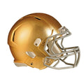 Notre Dame Fighting Irish Giant Removable Helmet Wall Decal B159261