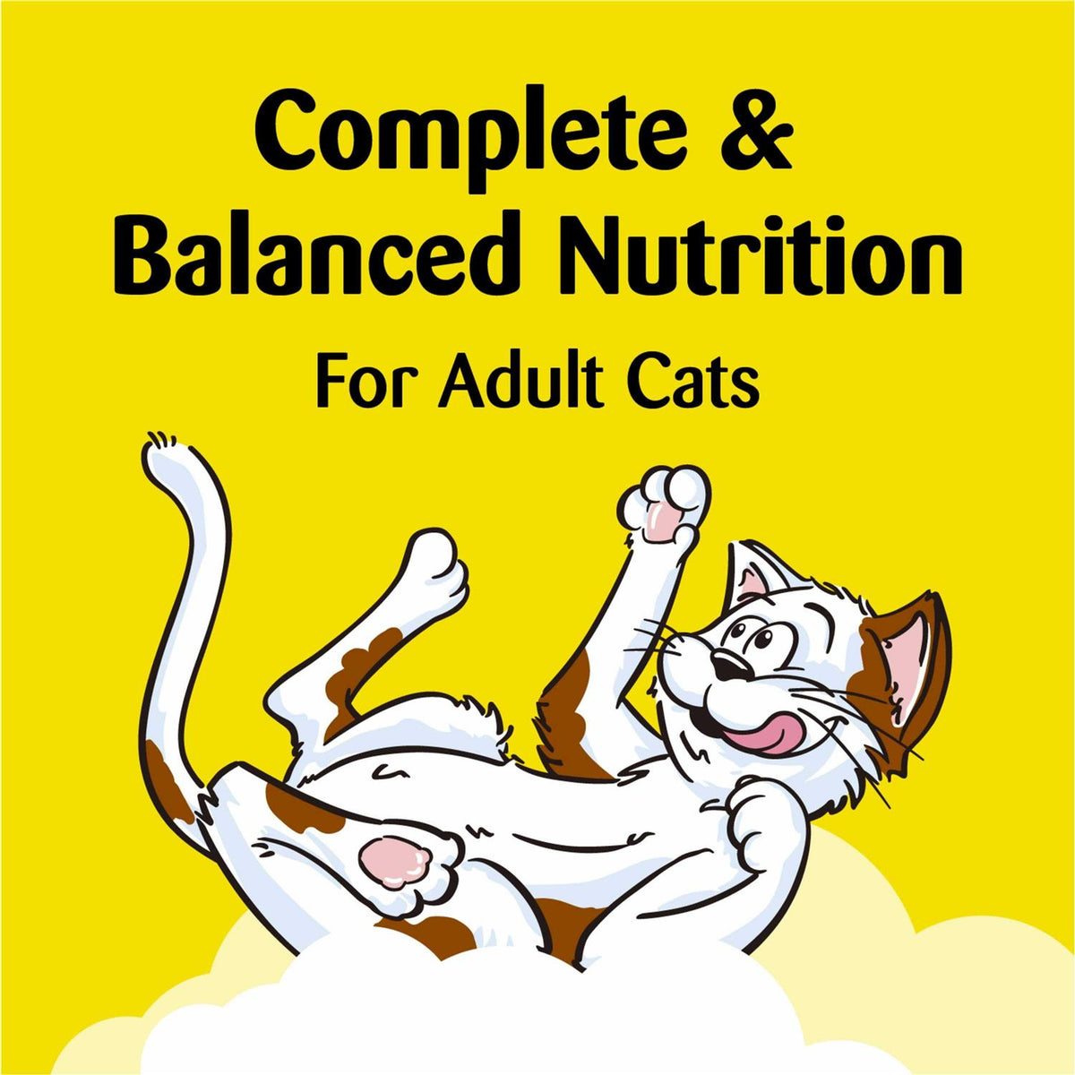 Crunchy and Soft Cat Treats L12675