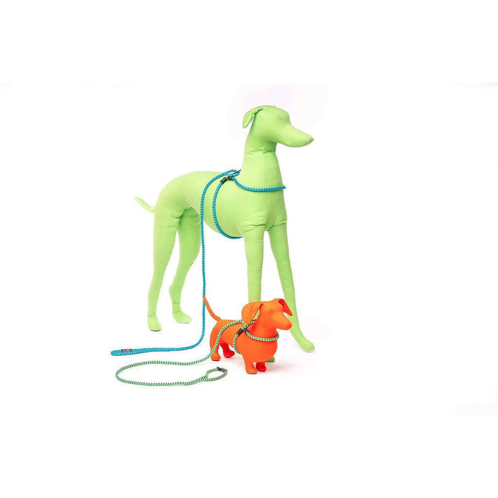 Dog Harness T674626