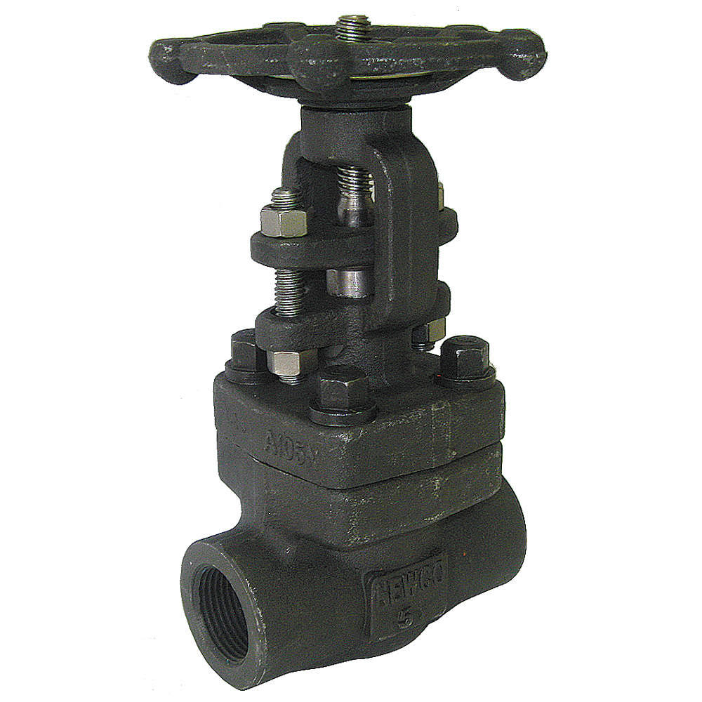 2 in Carbon Steel FNPT Gate Valve E28036