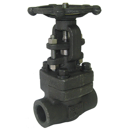 2 in Carbon Steel FNPT Gate Valve E28036