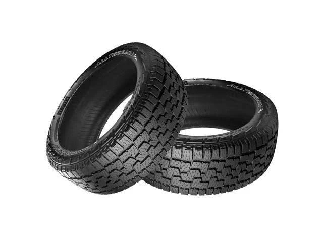 245/65R17 All Terrain Plus Tire W140