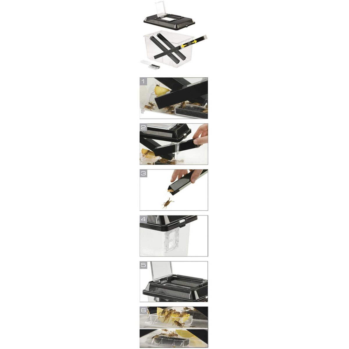 Cricket Pen F728029