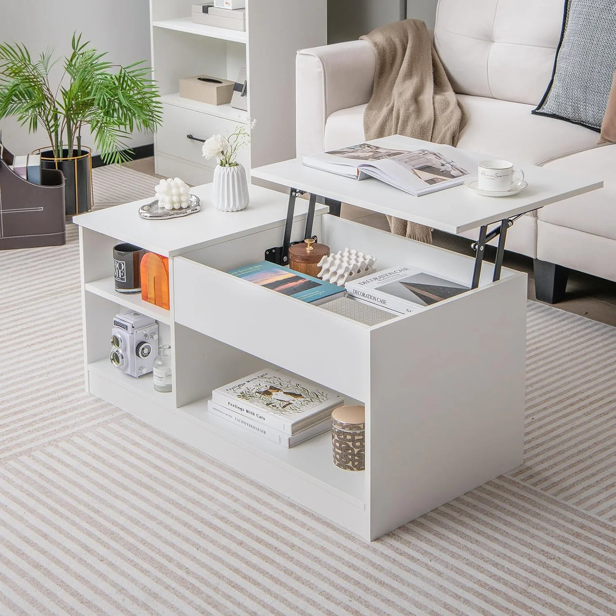 Lift-Top Coffee Table with Compartments Wood Rectangular D412