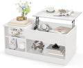 Lift-Top Coffee Table with Compartments Wood Rectangular D412