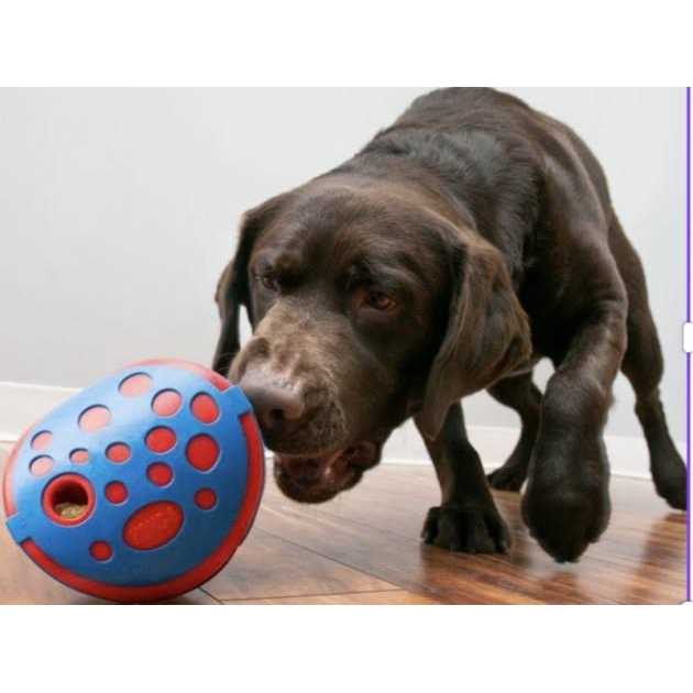 Dog Toy T259505