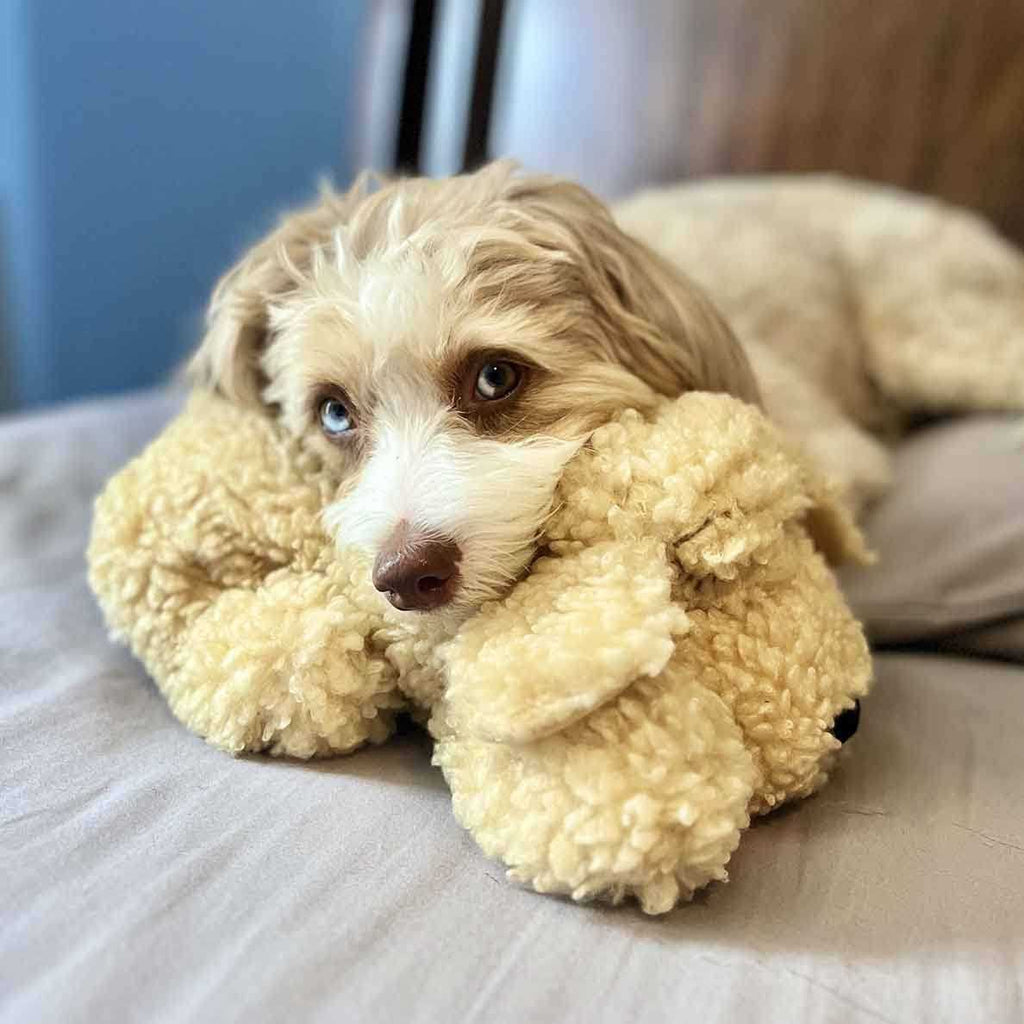 Smart Heartbeat Toy for Pet Anxiety Relief P75710