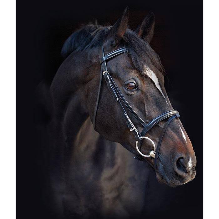 Black Standard Horse Bridle with Reins F81269