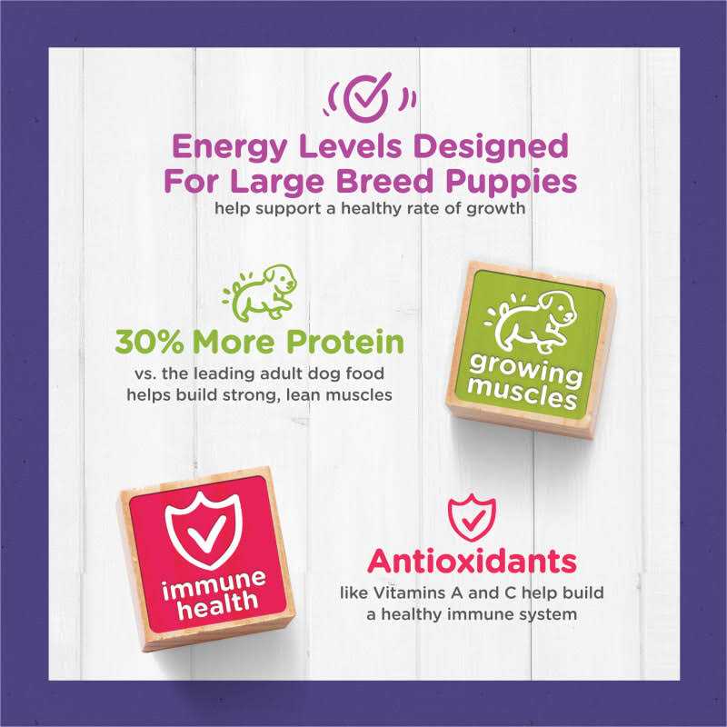 High Protein Large Breed Dry Puppy Food with Real Chicken A302981