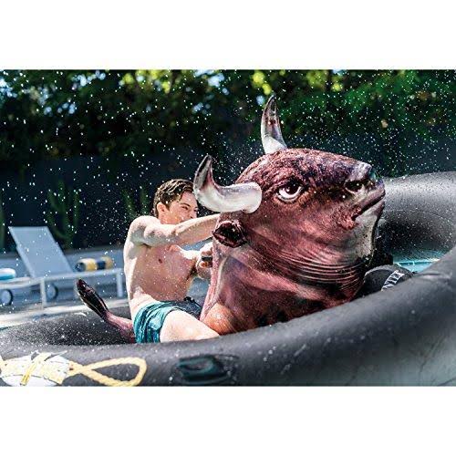 Inflatable Ride-On Pool Toy Z602441