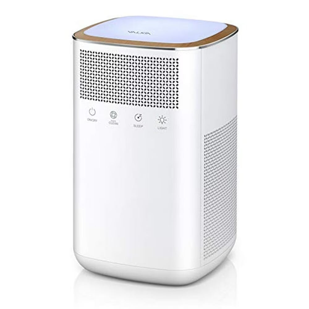 HEPA Air Purifier with Activated Carbon Filter I863386