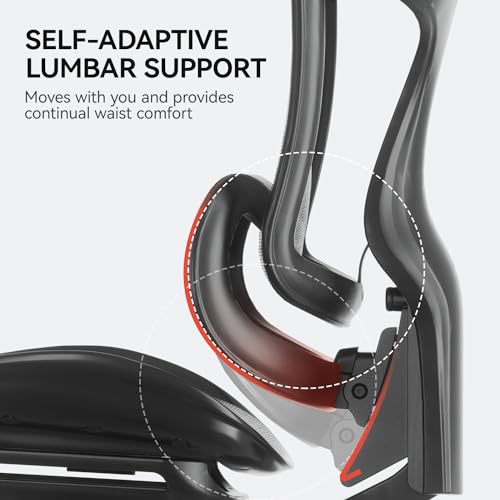Ergonomic Office Chair with 3D Armrests, Adjustable Backrest, Grey M4877