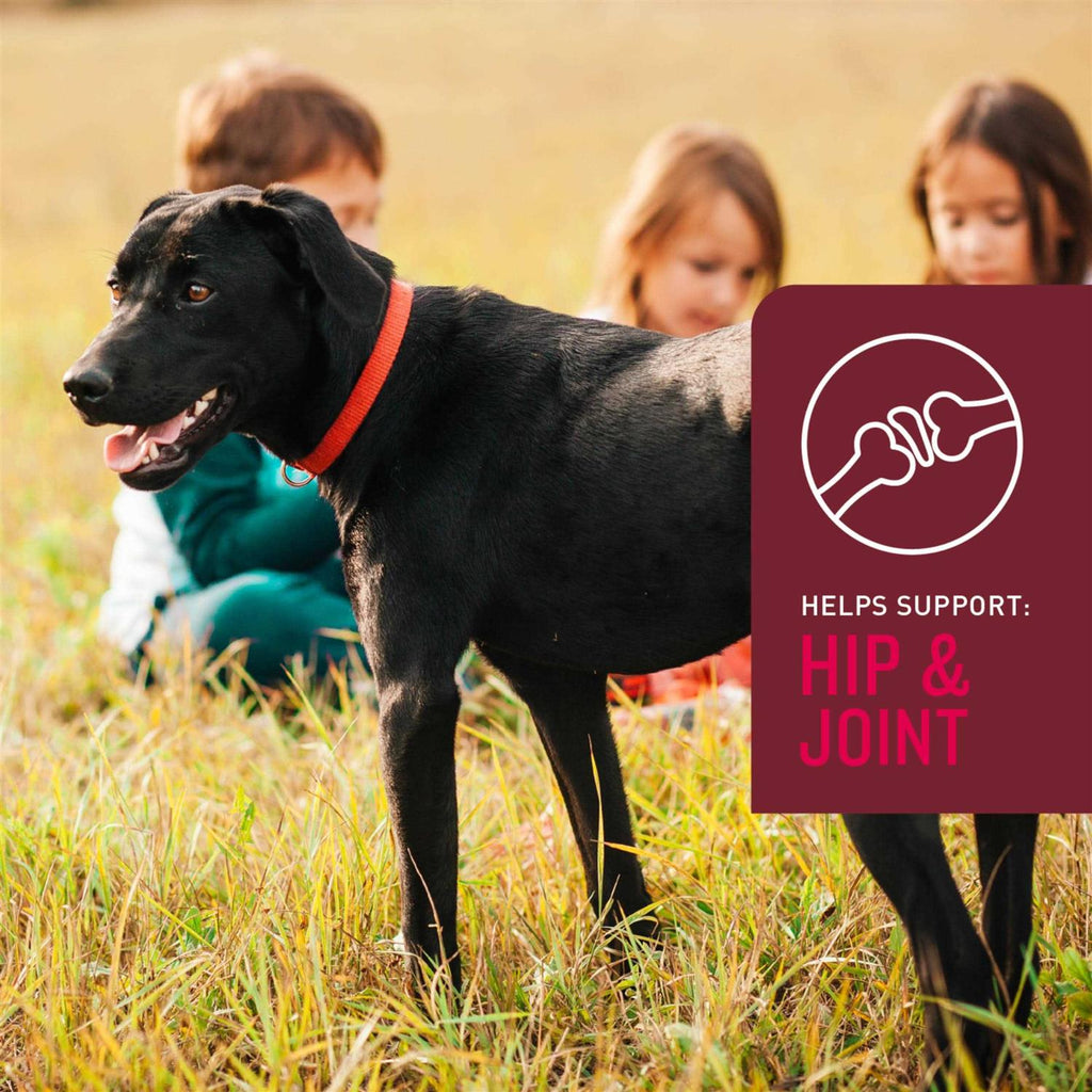 Soft Chews for Dogs K766