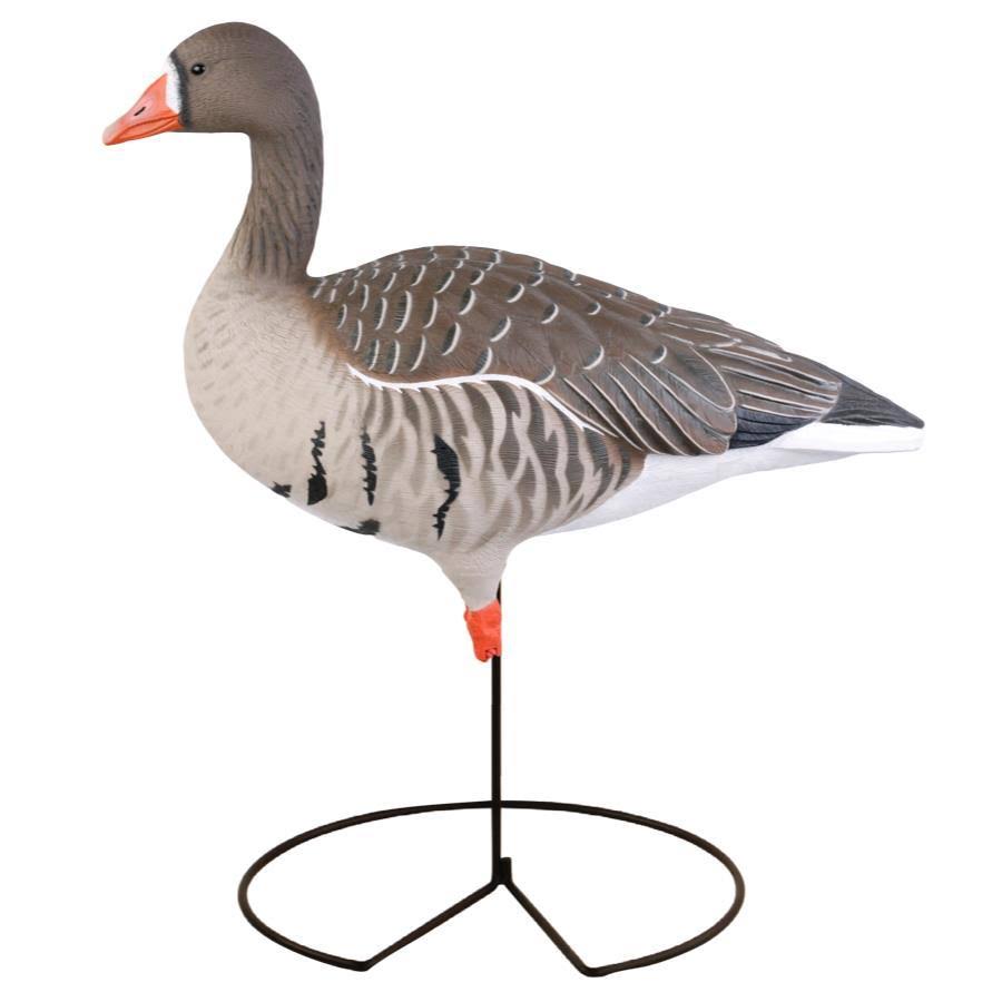 Full-Body Specklebelly Decoy Pack Y4892