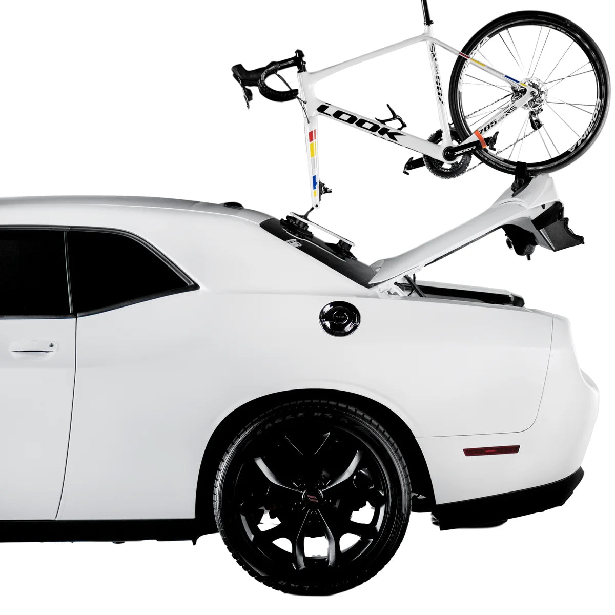 Black Talon Fork Mount Bike Rack E20219