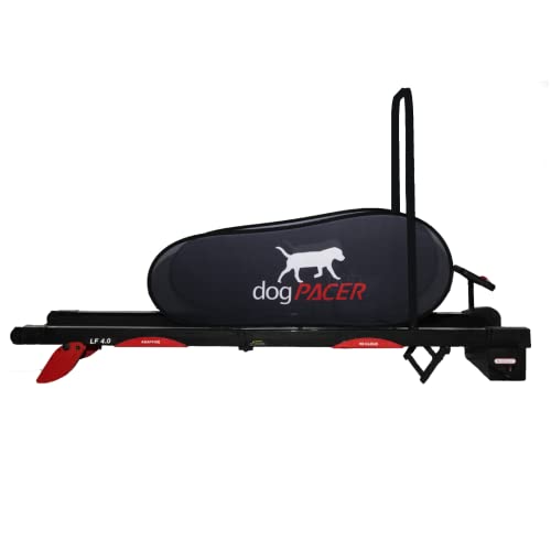 Black Full Size Dog Treadmill B5436