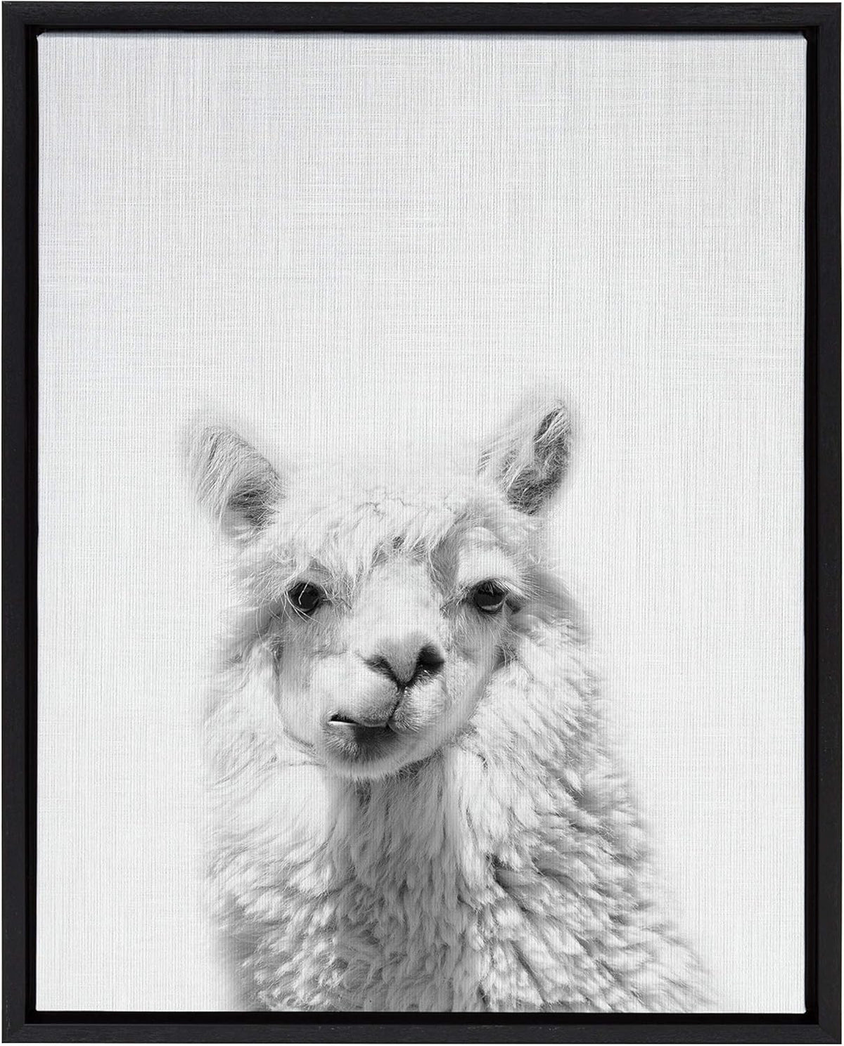 Black and White Framed Canvas Wall Art, 18x24 D3465