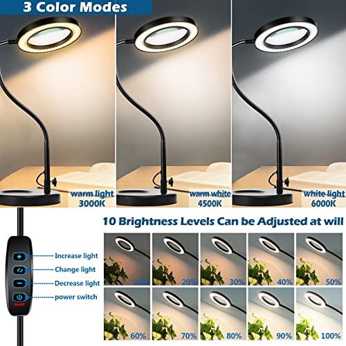 10X Magnifying Glass with Light and Stand, White U6932