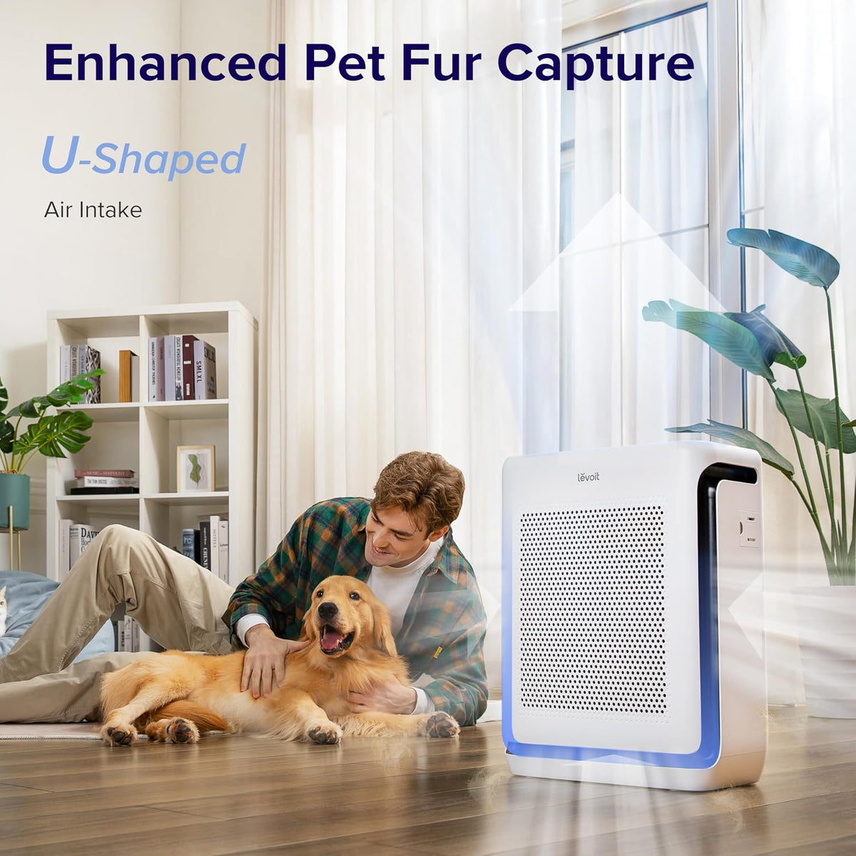 Air Purifier and Humidifier Bundle C23993