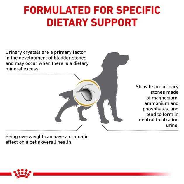 Veterinary Diet Urinary SO Moderate Calorie Dry Dog Food I151268