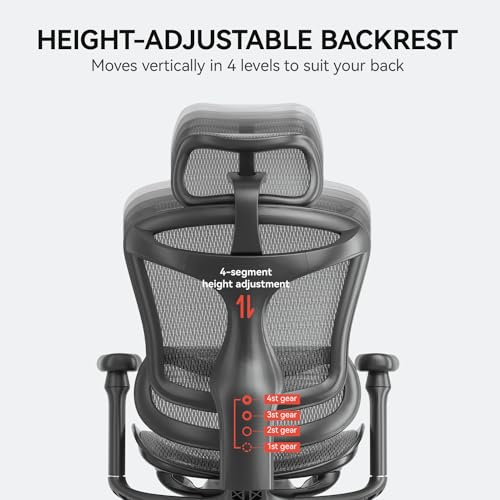 Ergonomic Office Chair with 3D Armrests, Adjustable Backrest, Grey M4877