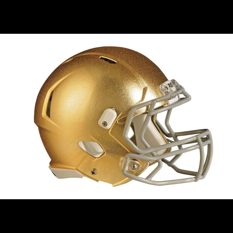 Notre Dame Fighting Irish Giant Removable Helmet Wall Decal B159261