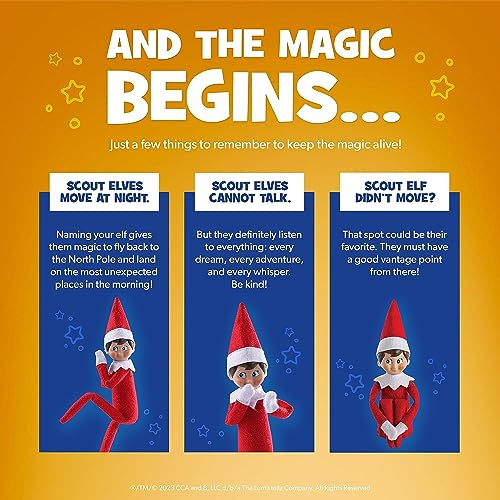 Blue-Eyed Girl Scout Elf J941