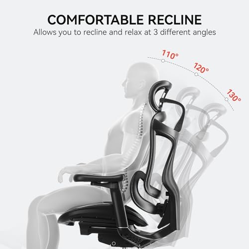 Ergonomic Office Chair with 3D Armrests, Adjustable Backrest, Grey M4877