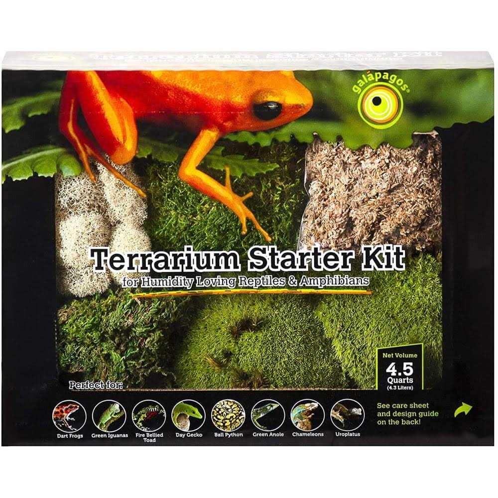 Terrarium Starter Kit T8745