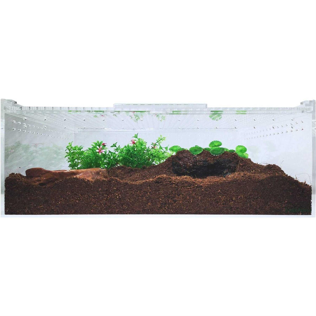 Acrylic Terrarium Extra Large Flat K7819