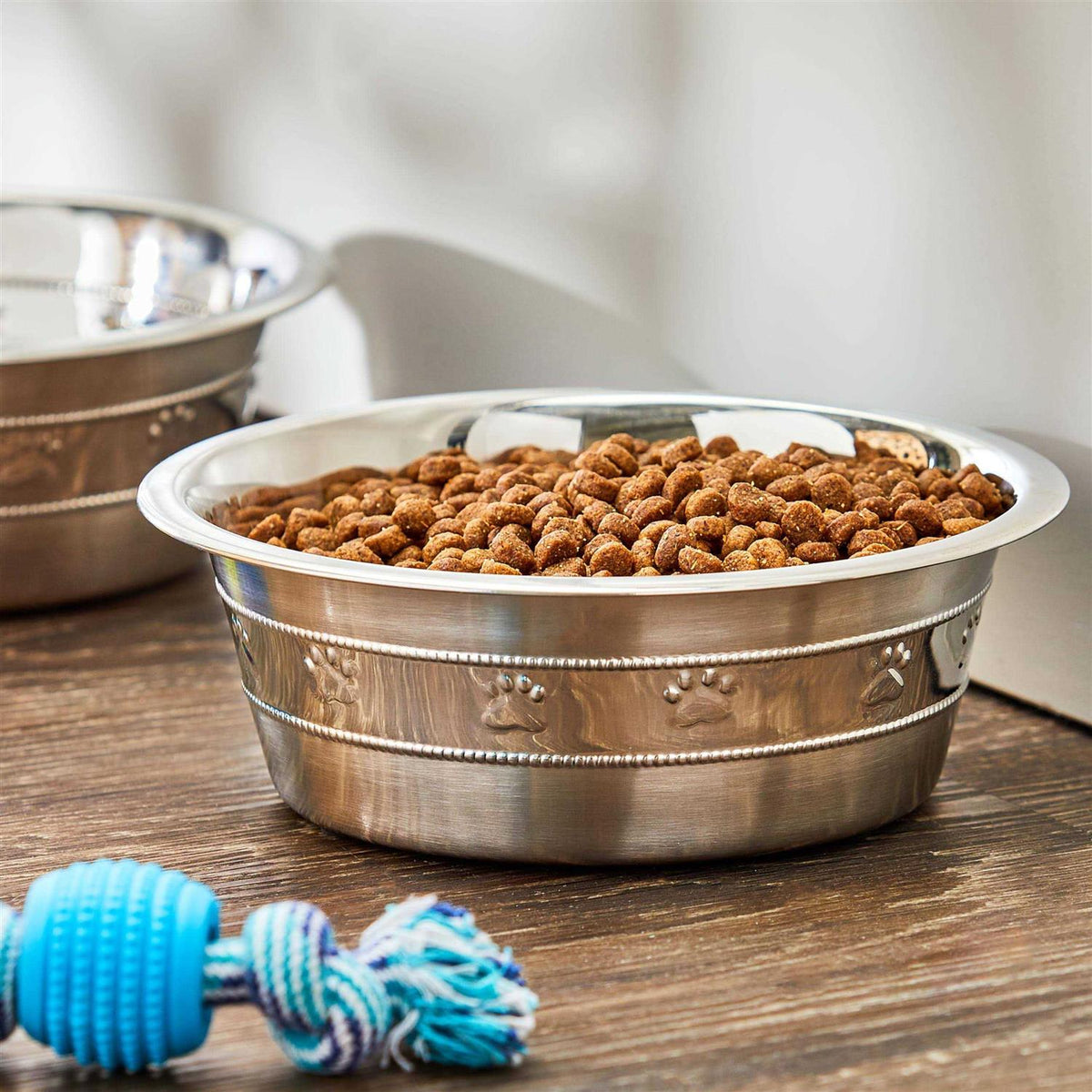 Dog Food Water Bowl O255901