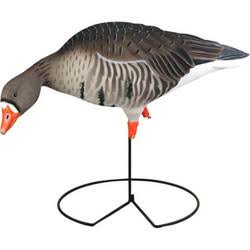 Full-Body Specklebelly Decoy Pack Y4892