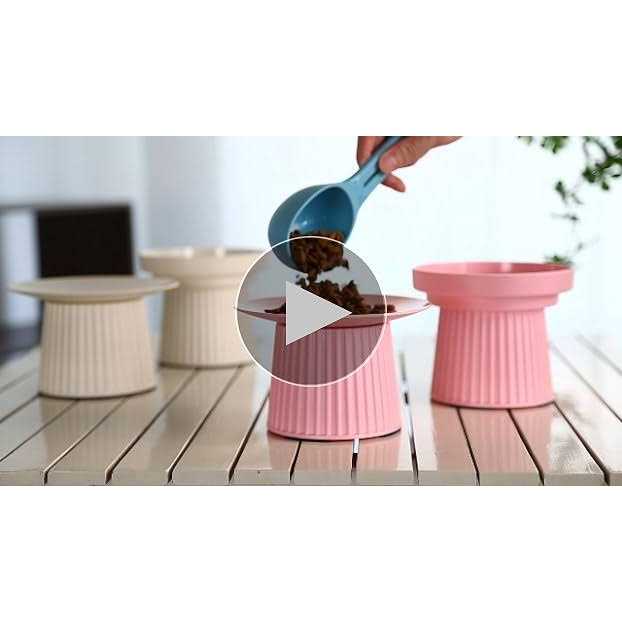 Elevated Cat Food and Water Bowl Set P348728