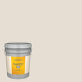 5-Gallon Exterior Paint L42841
