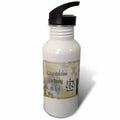 Gold and Silver 21 oz Sports Water Bottle P230