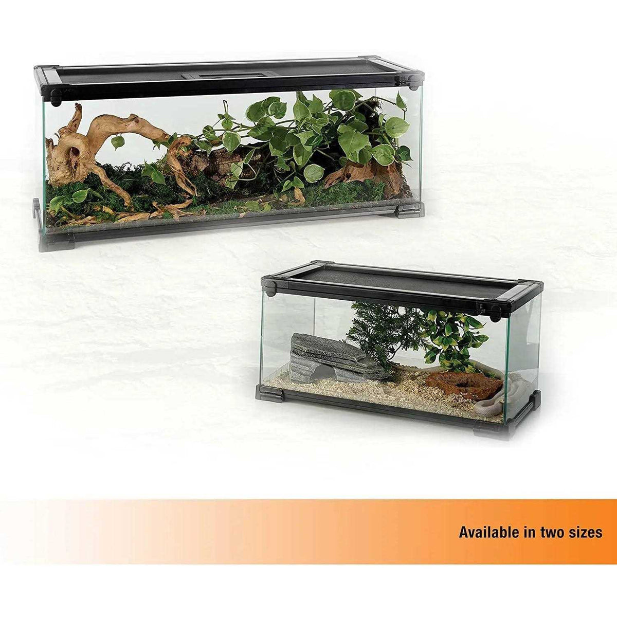 Terrarium B137134