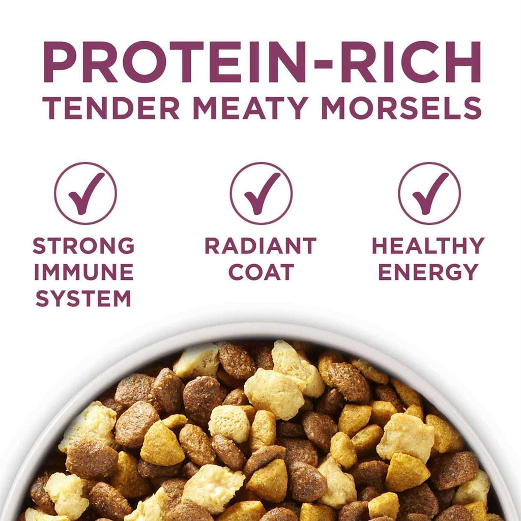 Dry Food S9125